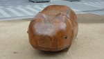 Continue reading The most massively useful thing an interstellar hitchhiker can have, and a wombat&hellip;
